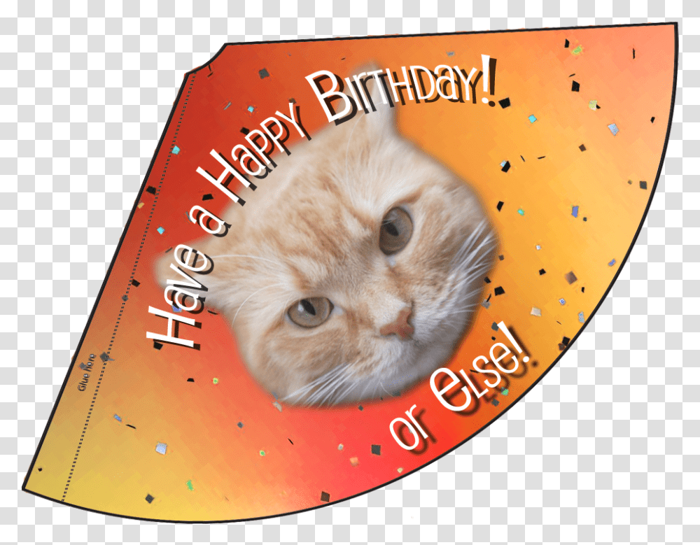 Orange Happy Birthday Or Else Hat Asian, Cat, Pet, Mammal, Animal Transparent Png