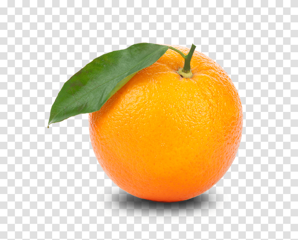 Orange Hd Orange Hd Images, Citrus Fruit, Plant, Food, Grapefruit Transparent Png