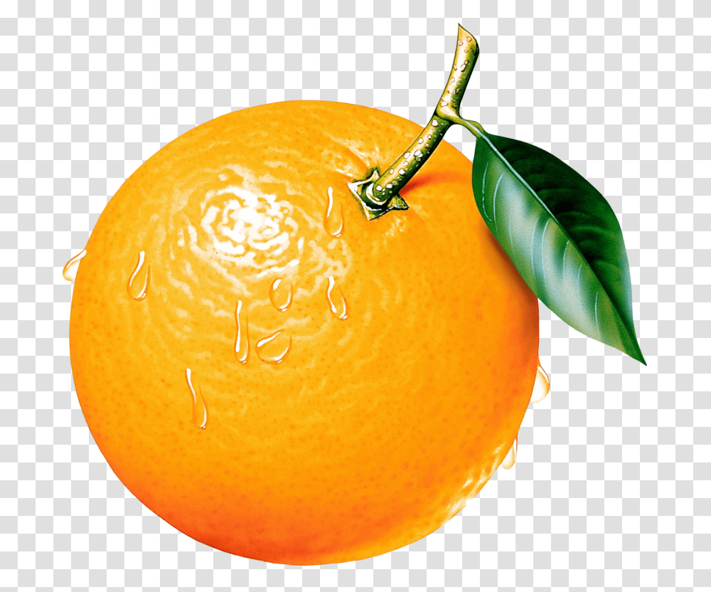 Orange Hd Orange Hd Images, Citrus Fruit, Plant, Food, Grapefruit Transparent Png