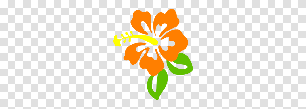 Orange Hibiscus Clip Art, Plant, Flower, Blossom Transparent Png