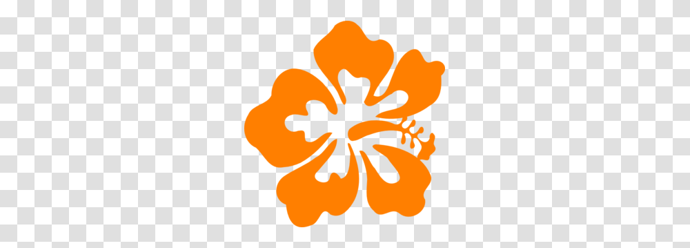 Orange Hibiscus Clip Art, Plant, Flower, Blossom, Petal Transparent Png