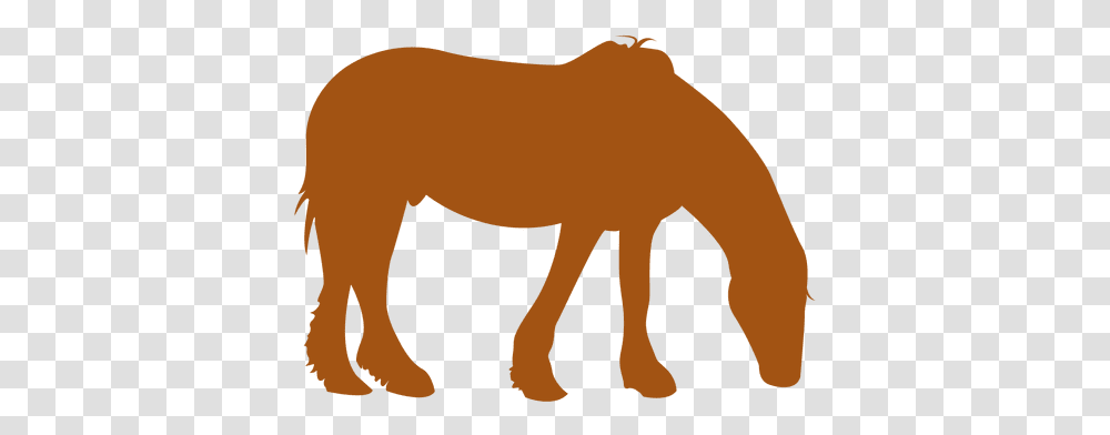 Orange Horse Silhouette & Svg Vector File Horse Orange Silhouette, Mammal, Animal Transparent Png