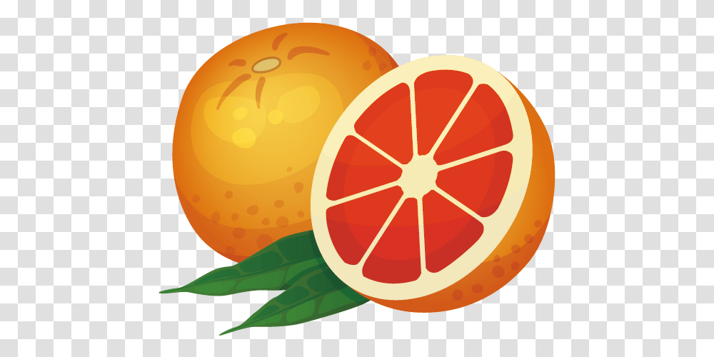 Orange Icon Rangpur, Citrus Fruit, Plant, Food, Grapefruit Transparent Png