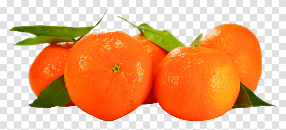 Orange Image, Citrus Fruit, Plant, Food, Grapefruit Transparent Png