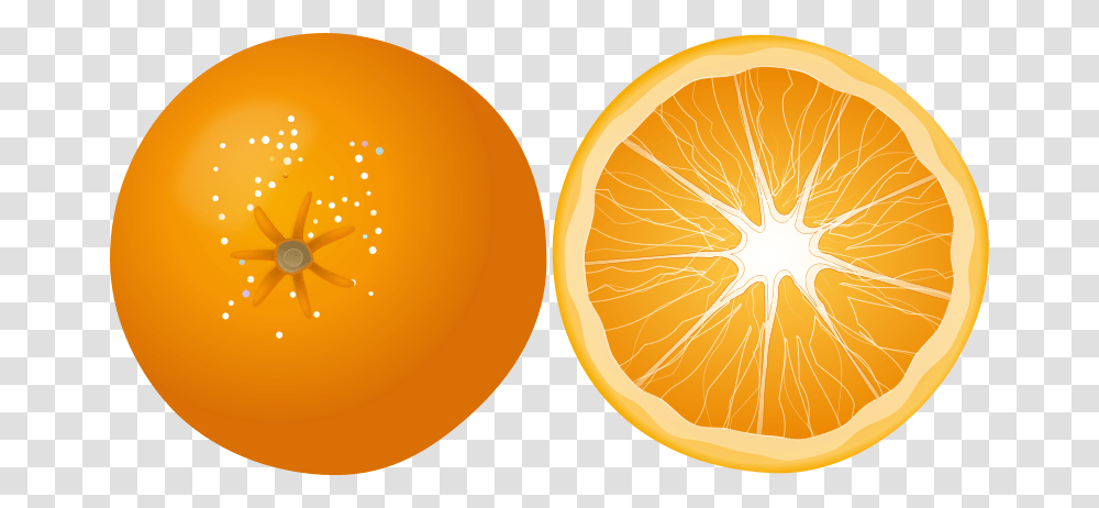 Orange Image Free Download Orange Slice Free, Plant, Citrus Fruit, Food, Produce Transparent Png