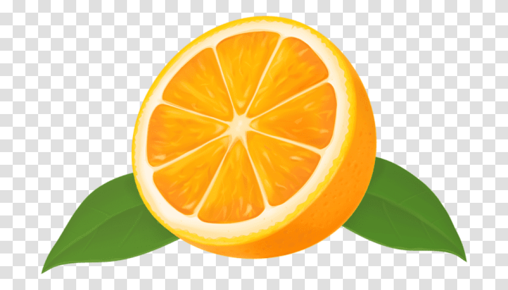 Orange Images 6 850 X 516 Webcomicmsnet Orange Clipart, Citrus Fruit, Plant, Food, Grapefruit Transparent Png