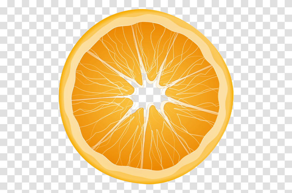 Orange Images All Orange Slice Clipart, Citrus Fruit, Plant, Food, Grapefruit Transparent Png