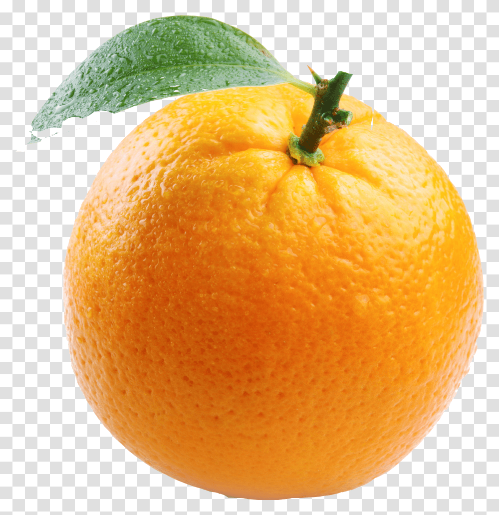 Orange In White Background Transparent Png