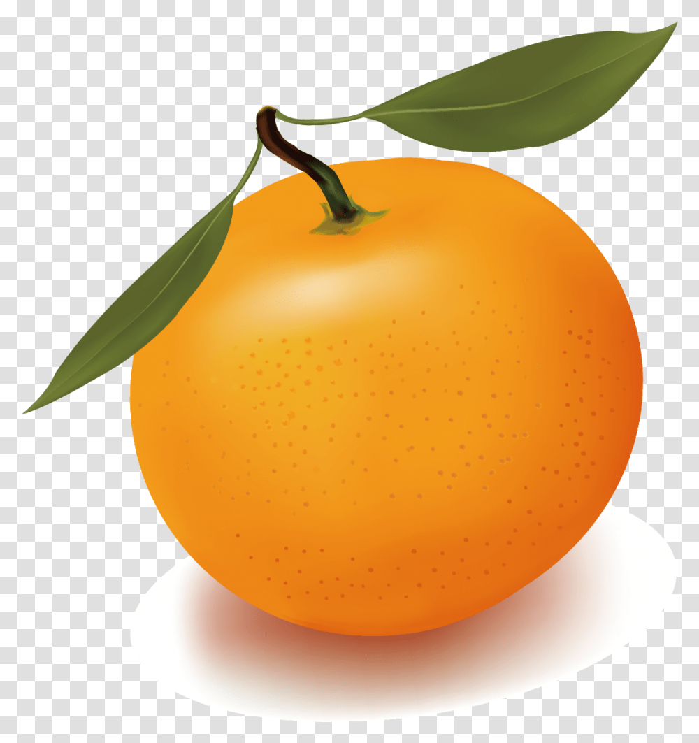 Orange Juice Free Content Clip Art Download Full Clipart Cartoon Orange, Plant, Fruit, Food, Citrus Fruit Transparent Png