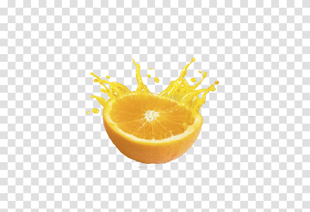 Orange Juice Fruchtsaft, Beverage, Drink, Citrus Fruit, Plant Transparent Png