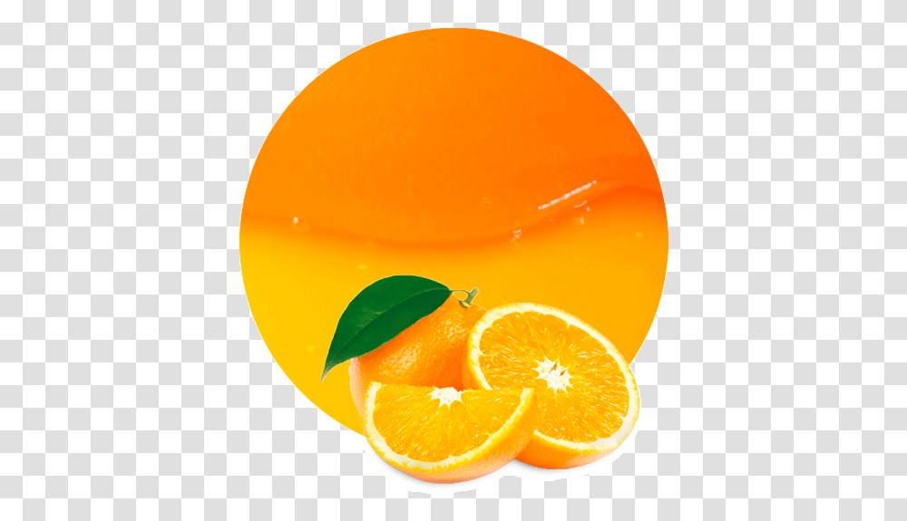 Orange Juice Nfc Frutas Acidas La Naranja, Beverage, Drink, Plant, Food Transparent Png