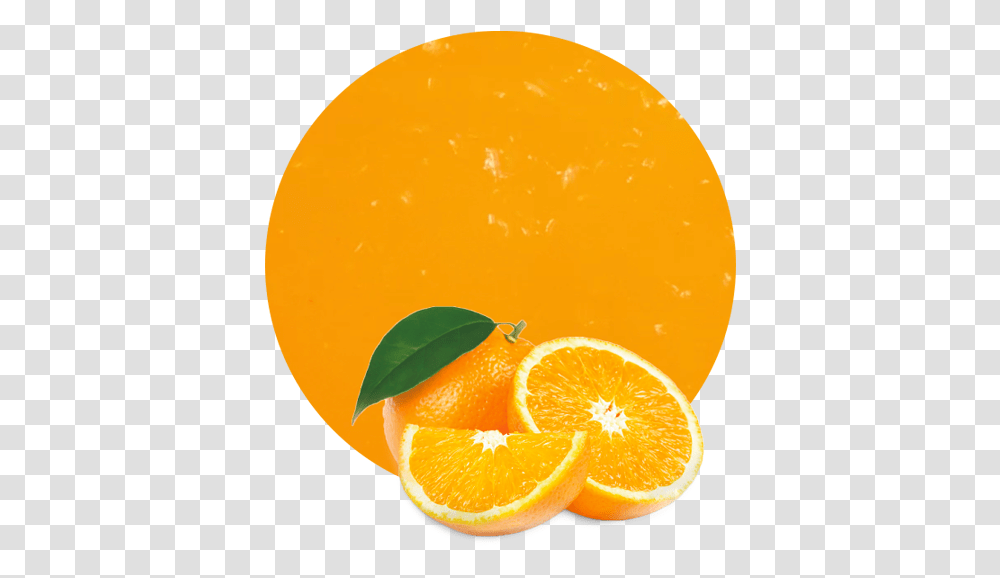 Orange Juice Nfc Orange Juice Peel, Plant, Citrus Fruit, Food, Beverage Transparent Png