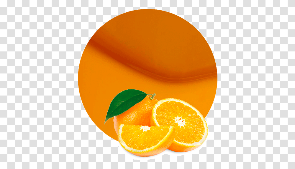 Orange Juice, Plant, Citrus Fruit, Food, Beverage Transparent Png