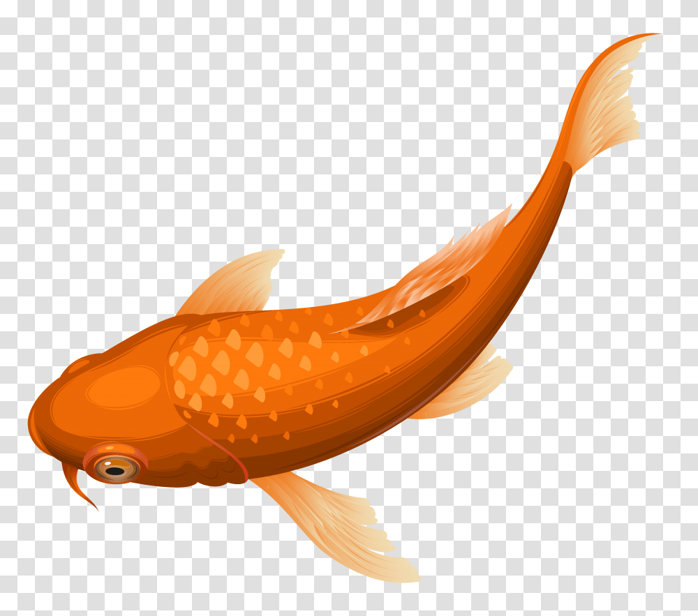 Orange Koi Fish Clip Art Gallery, Plant, Animal, Food, Sea Life Transparent Png