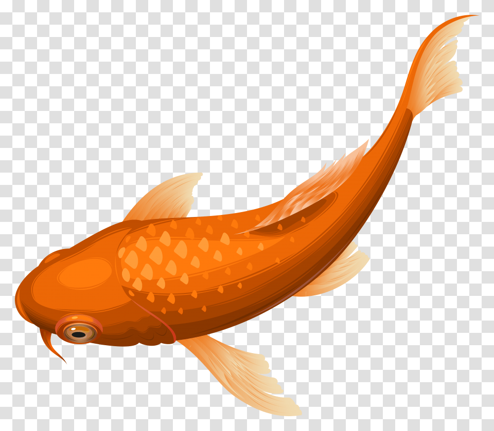 Orange Koi Fish Clip Art Image, Banana, Fruit, Plant, Food Transparent Png