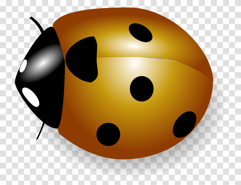 Orange Ladybug, Lamp, Dice, Game Transparent Png
