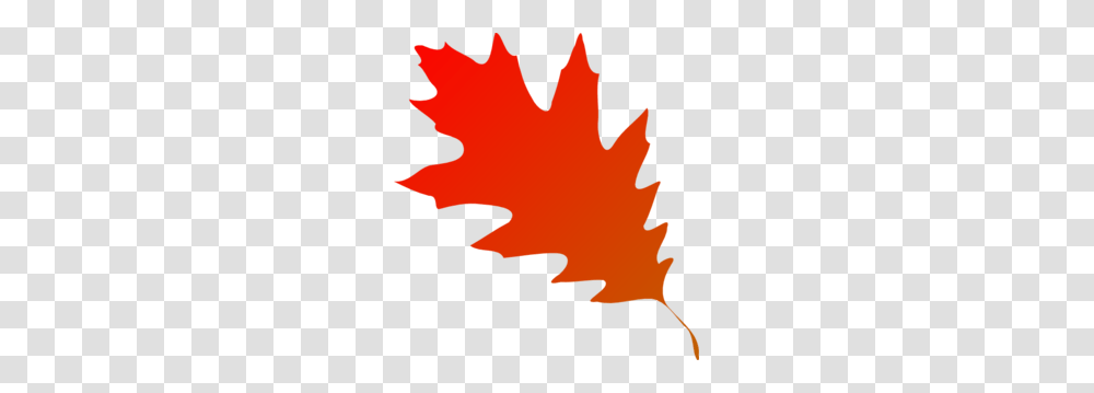 Orange Leaf Clipart, Plant, Tree, Maple, Maple Leaf Transparent Png