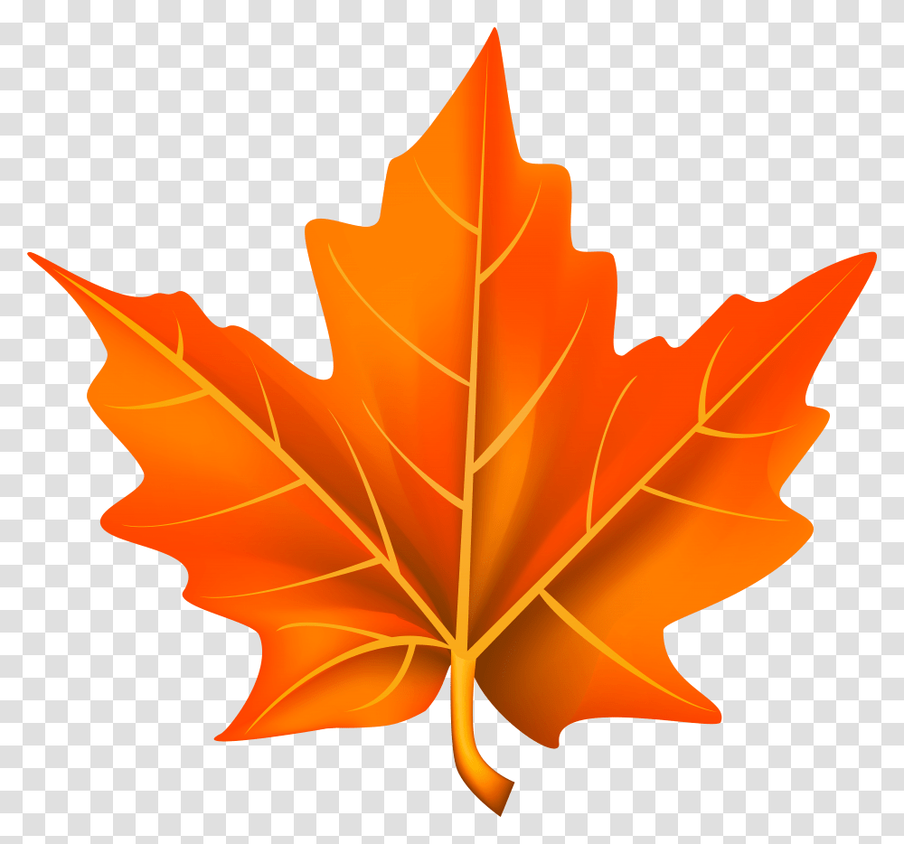 Orange Leaf, Plant, Tree, Maple, Maple Leaf Transparent Png