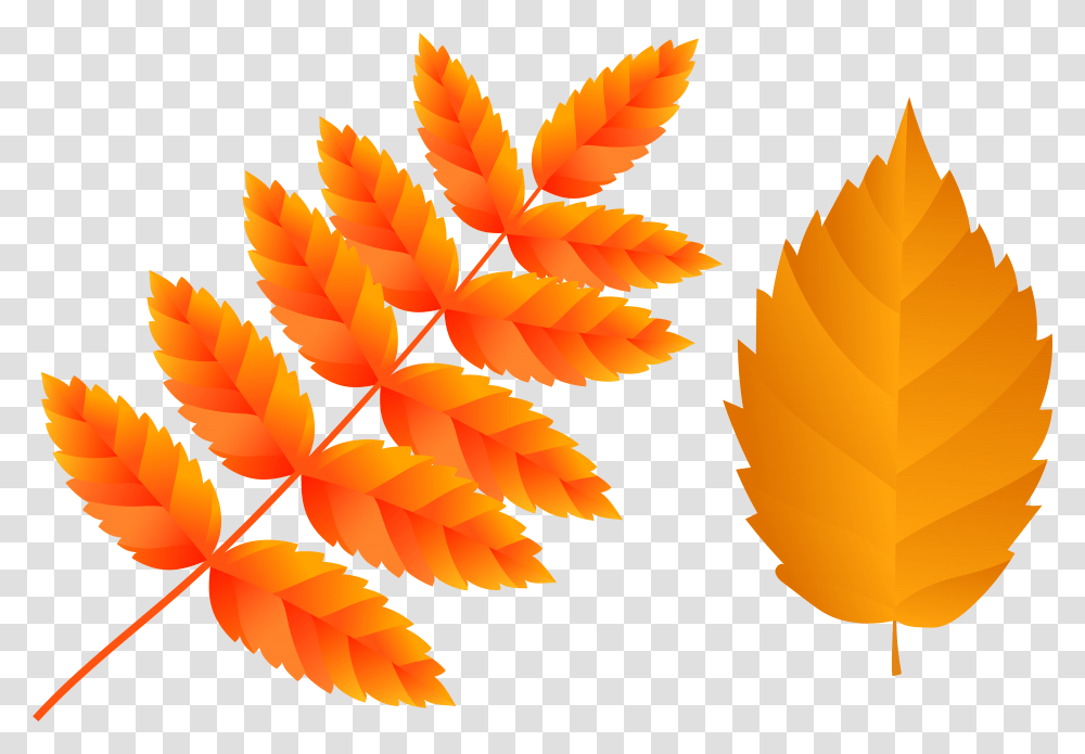 Orange Leaf, Plant, Tree, Maple, Pattern Transparent Png