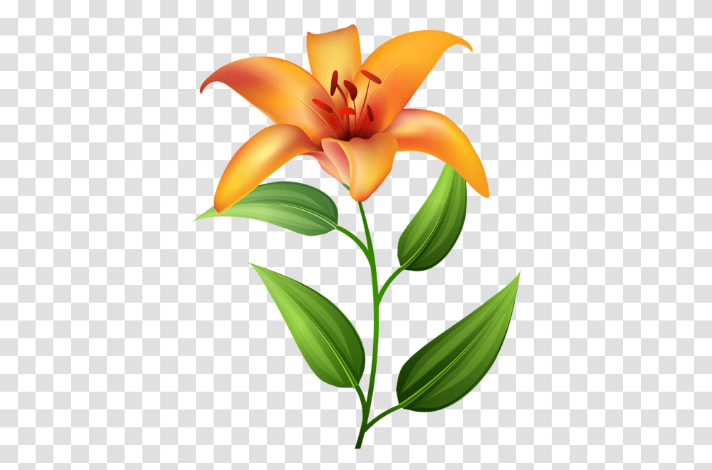 Orange Lilium Clip Art Art Flower Power, Plant, Blossom, Lily, Petal Transparent Png