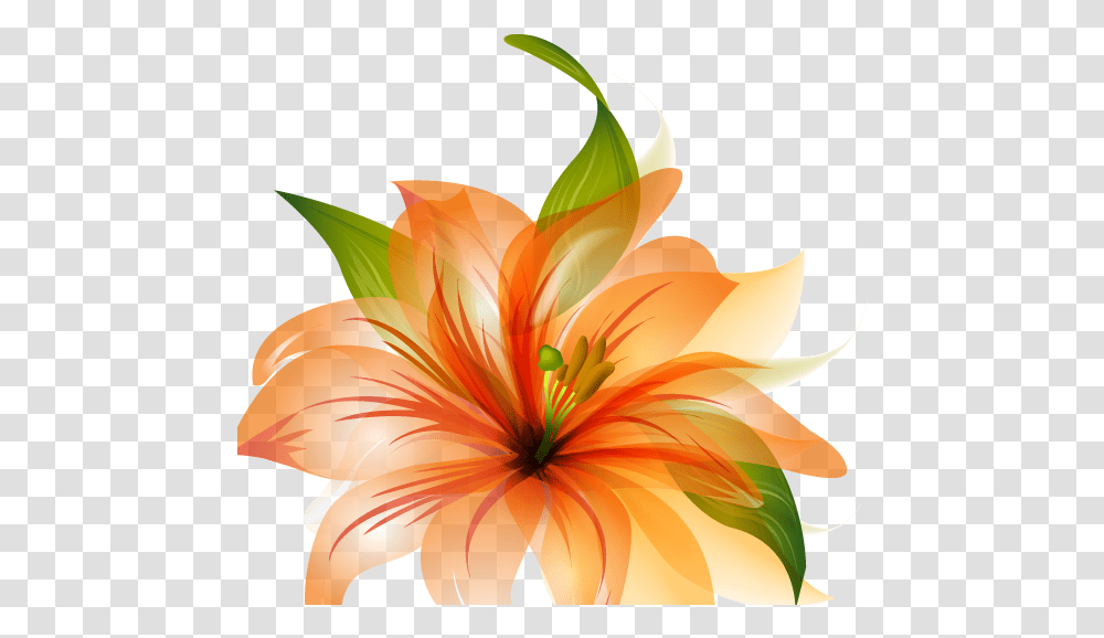 Orange Lily Flower Shower Curtain Orange Flower Vector, Plant, Blossom, Amaryllis, Dahlia Transparent Png