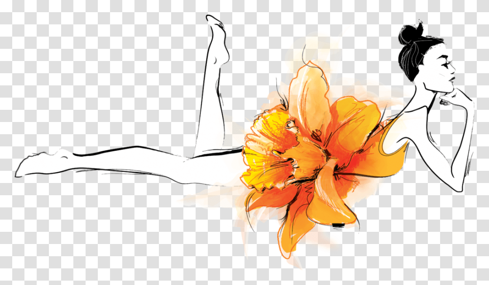Orange Lily, Plant, Flower, Blossom, Bird Transparent Png
