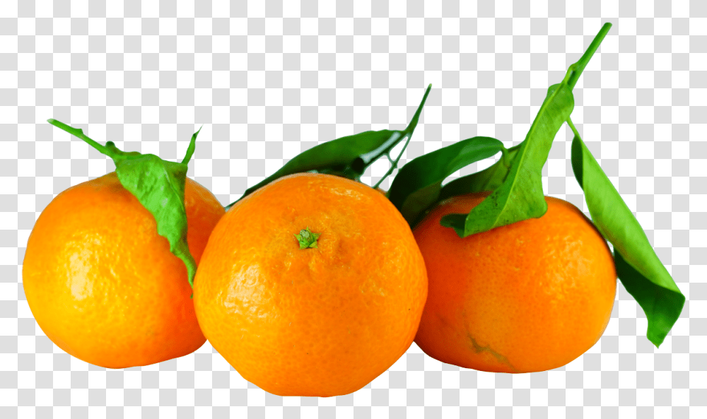 Orange Mandarin, Citrus Fruit, Plant, Food, Grapefruit Transparent Png