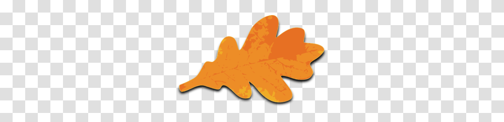 Orange Maple Leaf Clip Art, Plant, Tree, Seed, Grain Transparent Png