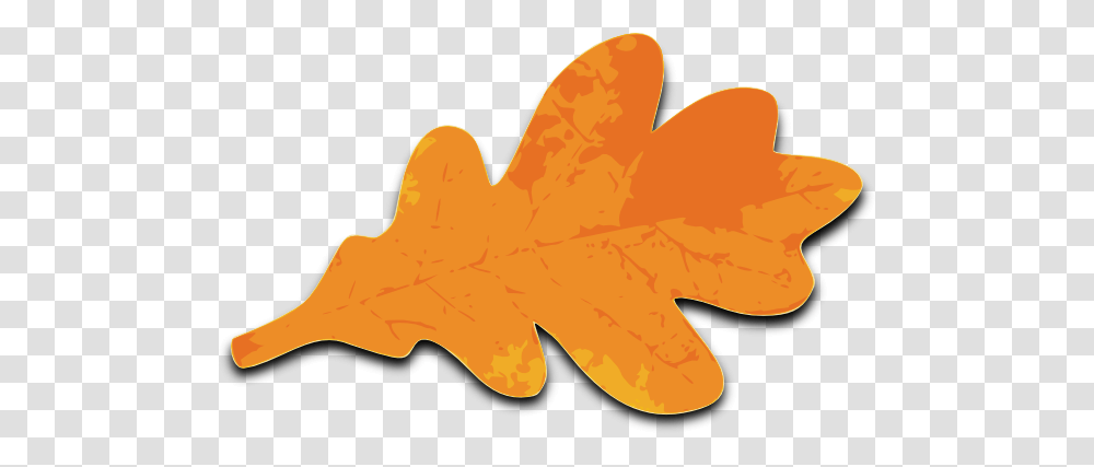 Orange Maple Leaf Clip Art, Plant, Tree Transparent Png