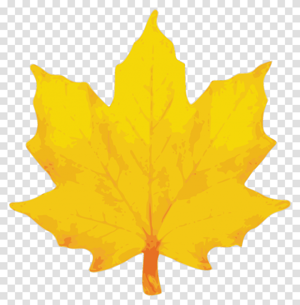 Orange Maple Leaf Svg Vector Clip Art Yellow Fall Leaves Clip Art, Plant, Tree, Bonfire, Flame Transparent Png
