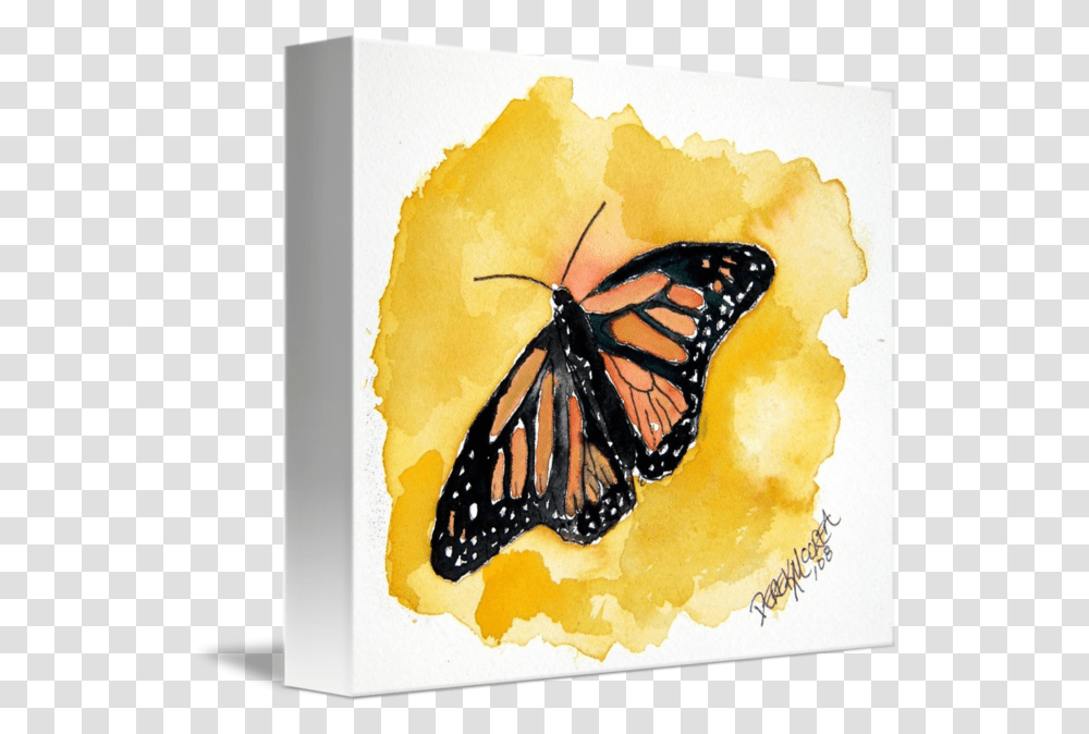 Orange Monarch Butterfly Watercolor Painting By Derek Mccrea Paint A Small Butterfly, Honey Bee, Insect, Invertebrate, Animal Transparent Png