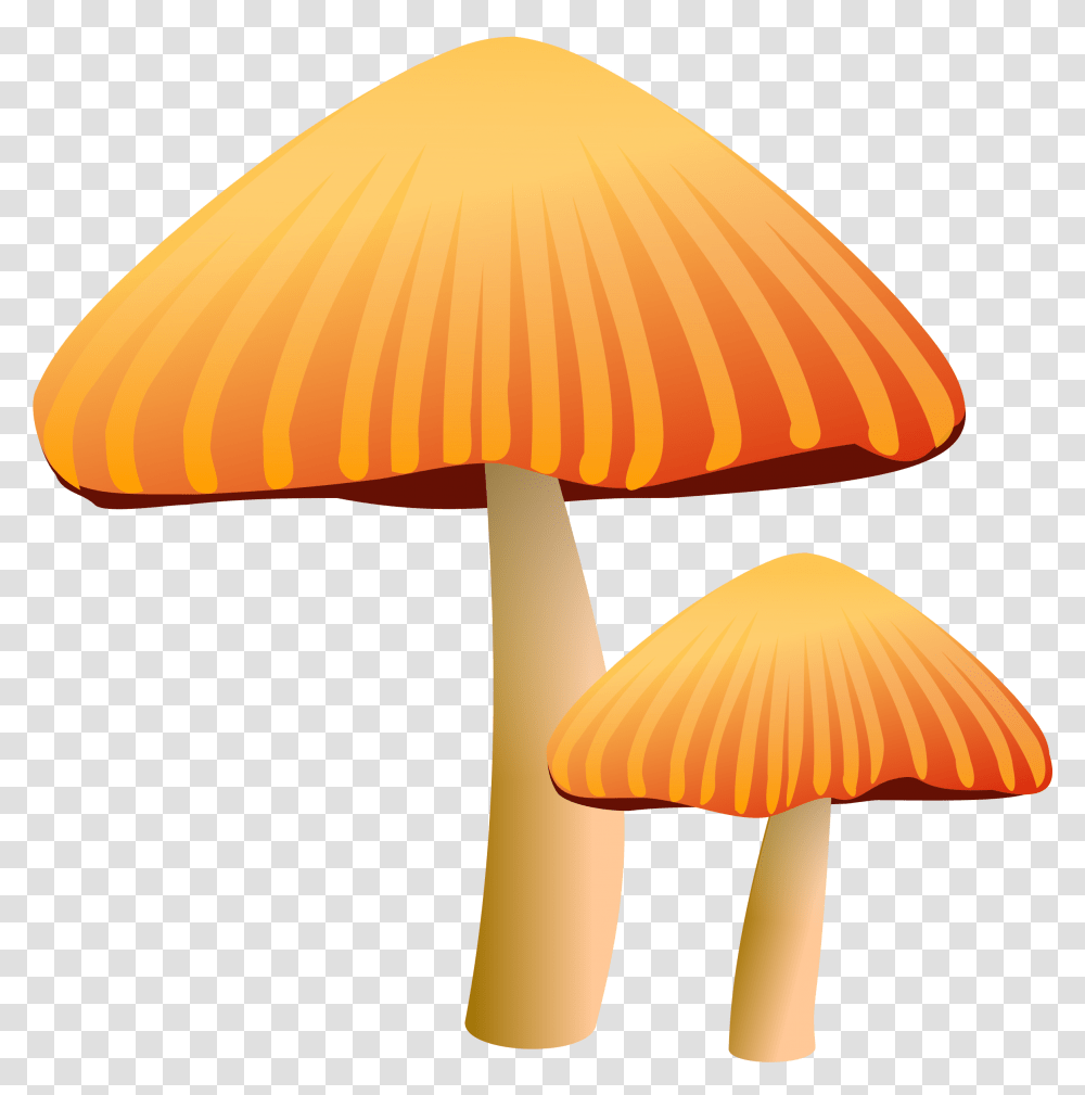 Orange Mushroom Clipart, Plant, Amanita, Agaric, Fungus Transparent Png