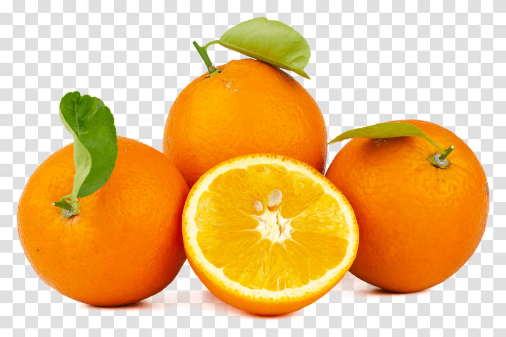 Orange Navel Fruit Juicer, Citrus Fruit, Plant, Food, Grapefruit Transparent Png
