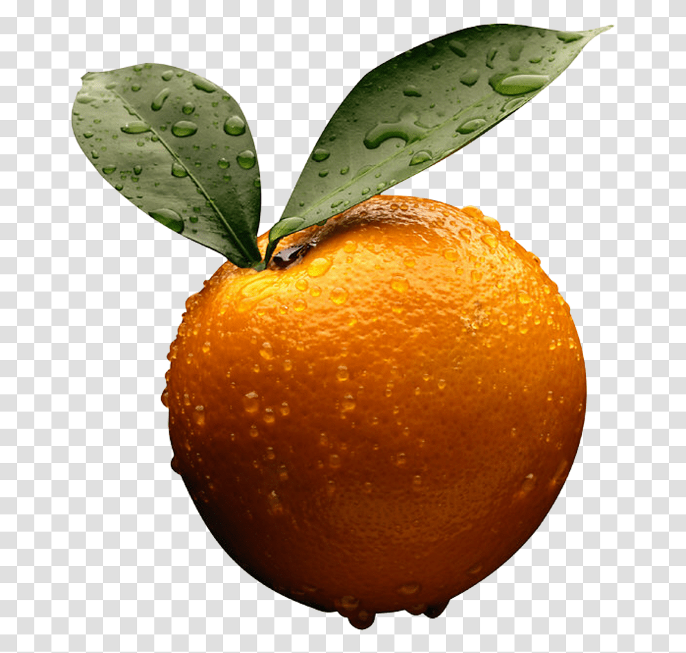 Orange Orange Business Accounting By Frank Wood, Citrus Fruit, Plant, Food Transparent Png