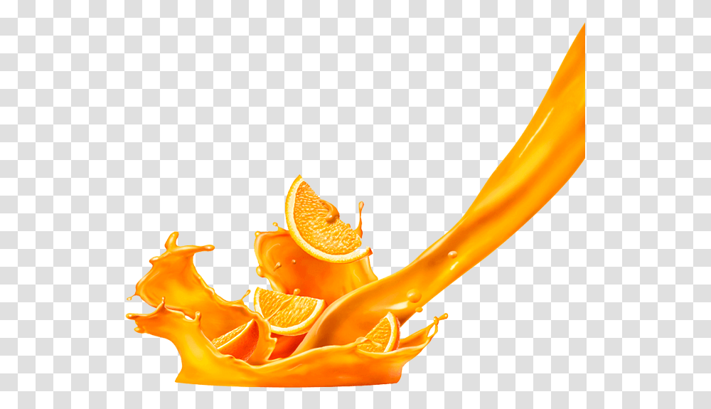 Orange Orange Orange Orange Tree Orange Tree Splash Orange Juice Splash, Plant, Beverage, Drink, Citrus Fruit Transparent Png