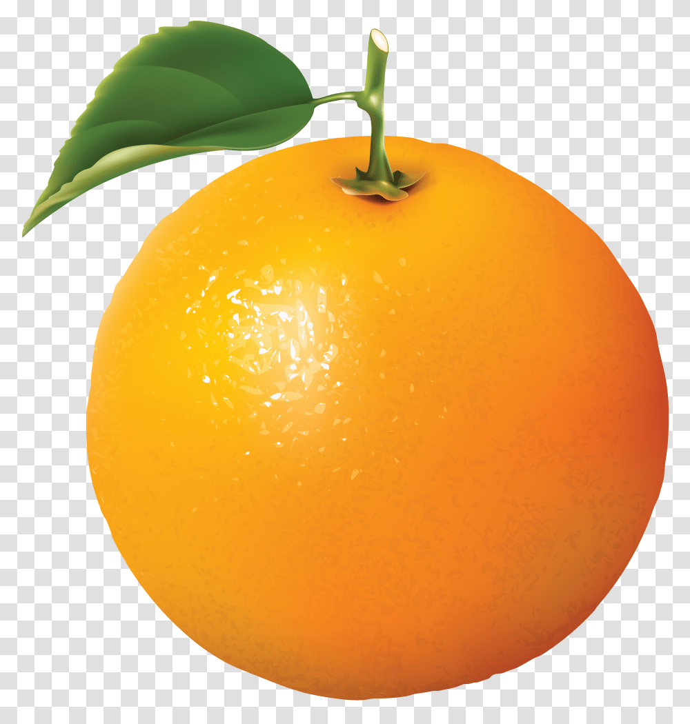 Orange Oranges Image, Citrus Fruit, Plant, Food, Grapefruit Transparent Png
