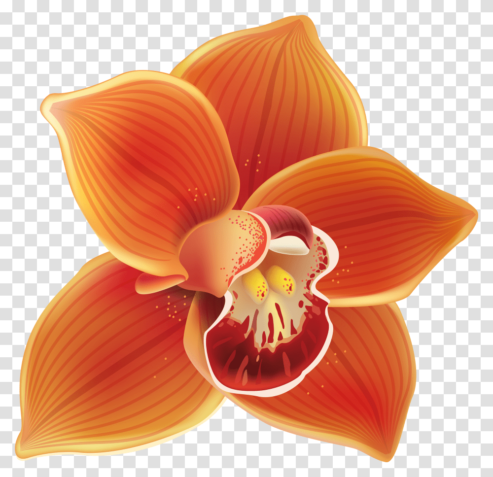 Orange Orchid Clipart Clip Art Orchid Flower, Plant, Blossom, Fungus, Dahlia Transparent Png