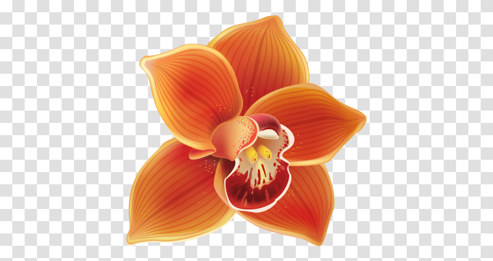 Orange Orchid Clipart Orange Orchid Clipart, Plant, Flower, Blossom, Dahlia Transparent Png