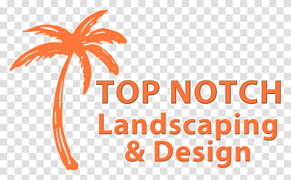 Orange Palm Tree Logo Text, Leaf, Plant, Trademark Transparent Png