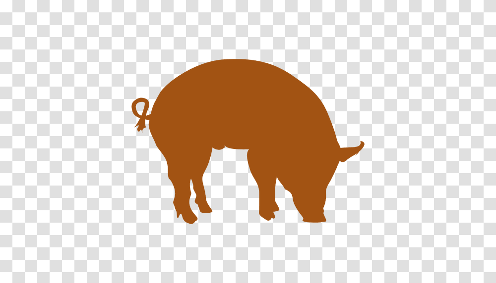 Orange Pig Silhouette, Mammal, Animal, Wildlife, Aardvark Transparent Png
