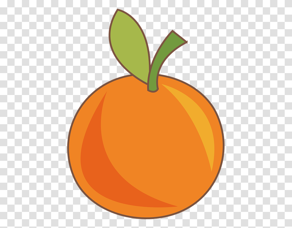 Orange, Plant, Apricot, Fruit, Produce Transparent Png