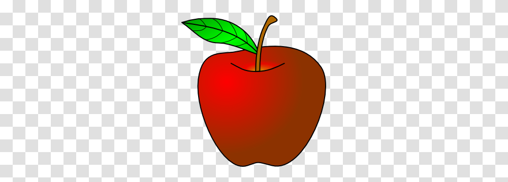 Orange, Plant, Fruit, Food, Cherry Transparent Png