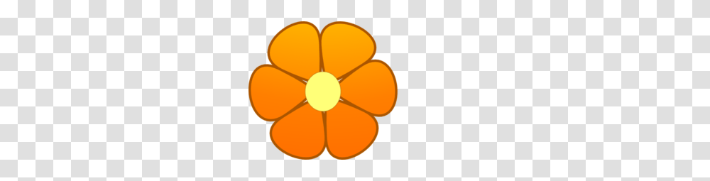 Orange Poppy Flower Clipart, Plant, Balloon, Blossom, Food Transparent Png