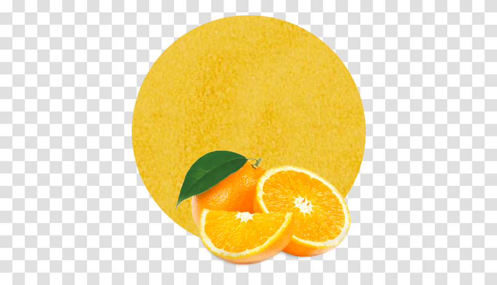 Orange Powder Manufacturer And Supplier Lemonconcentrate Orange Juice, Plant, Citrus Fruit, Food, Beverage Transparent Png