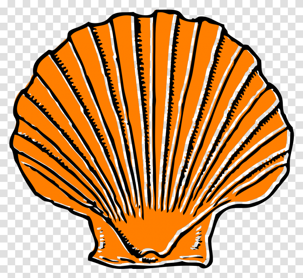 Orange Seashell Svg Clip Arts Download Download Clip Art Sea Shell Clip Art, Invertebrate, Animal, Sea Life, Clam Transparent Png