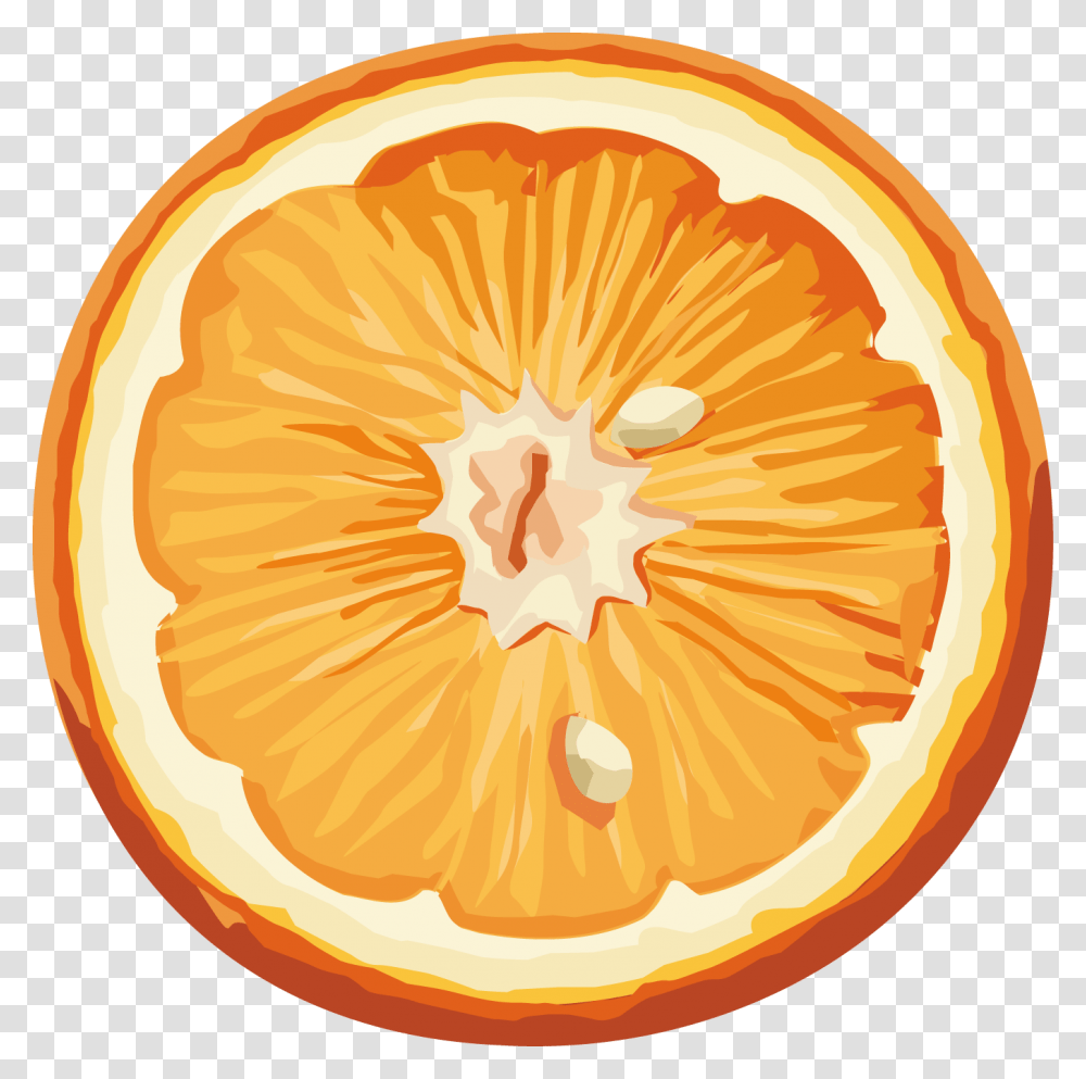 Orange Slice Background, Grapefruit, Citrus Fruit, Produce, Food Transparent Png