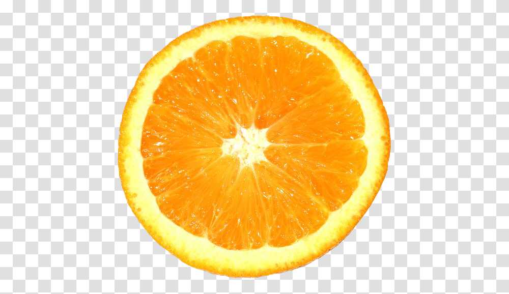 Orange Slice, Citrus Fruit, Plant, Food, Grapefruit Transparent Png