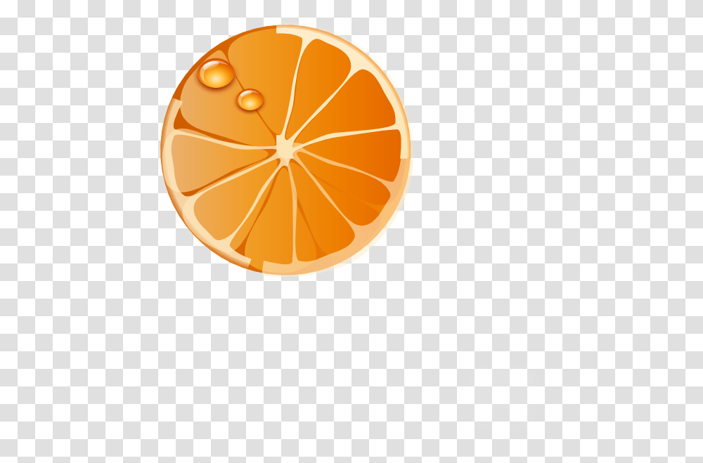 Orange Slice Clip Art, Citrus Fruit, Plant, Food, Grapefruit Transparent Png
