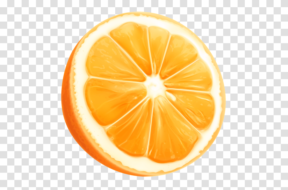 Orange Slice Clip Art, Citrus Fruit, Plant, Food, Grapefruit Transparent Png