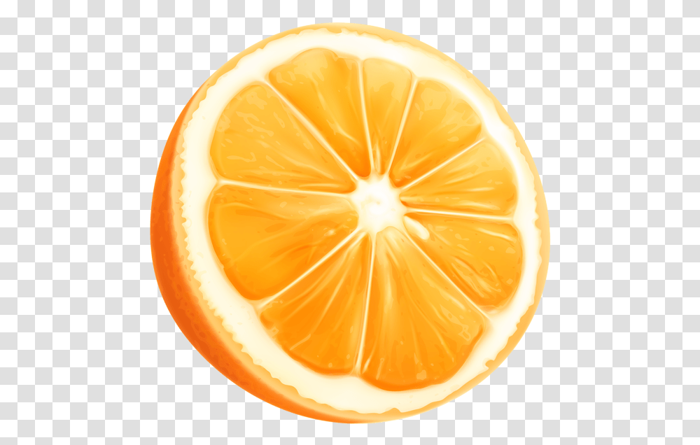 Orange Slice Clipart Orange Slice Clipart, Citrus Fruit, Plant, Food, Grapefruit Transparent Png
